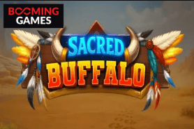 Game 9 Boho Casino